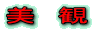 美 観